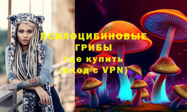 амф Белоозёрский