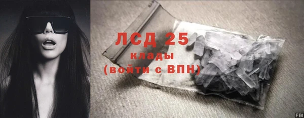 гидра Белокуриха