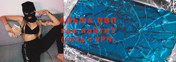 гидра Белокуриха