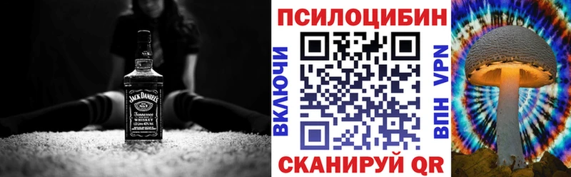 Купить  Каменногорск  Галлюциногенные грибы мухоморы 